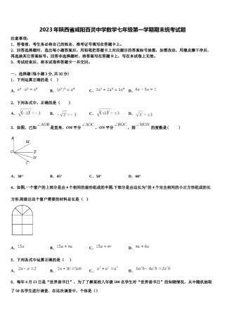 2023年陕西省咸阳百灵中学数学七年级第一学期期末统考试题含解析.doc