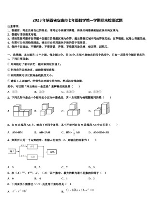 2023年陕西省安康市七年级数学第一学期期末检测试题含解析.doc