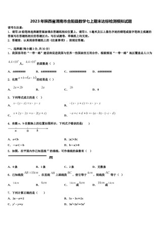 2023年陕西省渭南市合阳县数学七上期末达标检测模拟试题含解析.doc