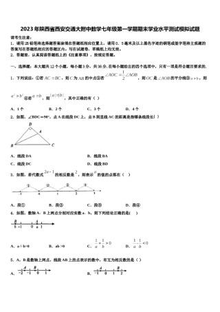 2023年陕西省西安交通大附中数学七年级第一学期期末学业水平测试模拟试题含解析.doc
