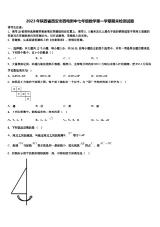 2023年陕西省西安市西电附中七年级数学第一学期期末检测试题含解析.doc