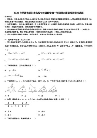 2023年陕西省铜川市名校七年级数学第一学期期末质量检测模拟试题含解析.doc