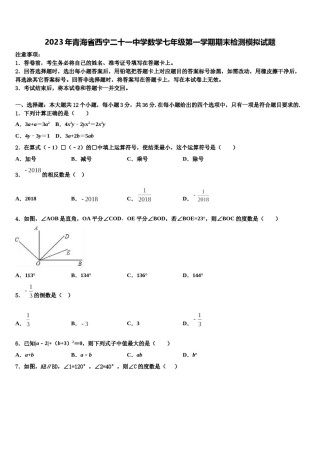 2023年青海省西宁二十一中学数学七年级第一学期期末检测模拟试题含解析.doc