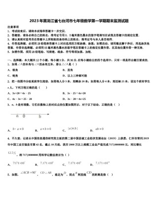 2023年黑龙江省七台河市七年级数学第一学期期末监测试题含解析.doc