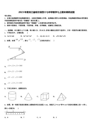 2023年黑龙江省哈尔滨四十七中学数学七上期末调研试题含解析.doc