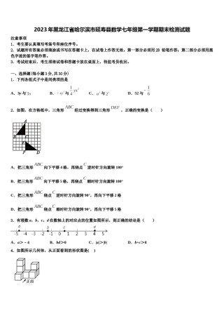 2023年黑龙江省哈尔滨市延寿县数学七年级第一学期期末检测试题含解析.doc