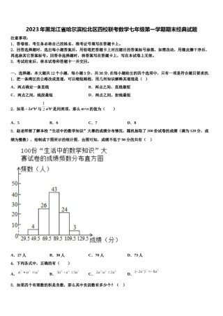2023年黑龙江省哈尔滨松北区四校联考数学七年级第一学期期末经典试题含解析.doc