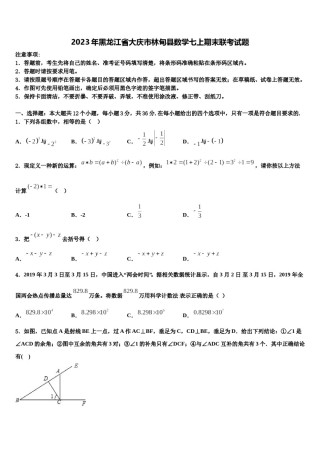 2023年黑龙江省大庆市林甸县数学七上期末联考试题含解析.doc