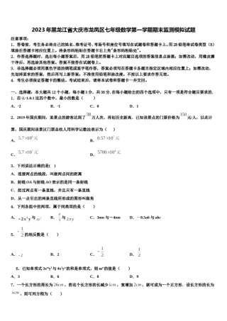 2023年黑龙江省大庆市龙凤区七年级数学第一学期期末监测模拟试题含解析.doc