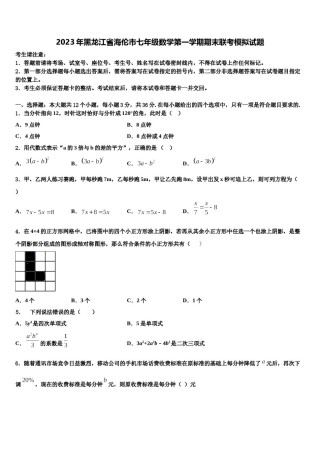 2023年黑龙江省海伦市七年级数学第一学期期末联考模拟试题含解析.doc