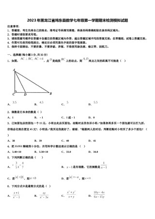 2023年黑龙江省鸡东县数学七年级第一学期期末检测模拟试题含解析.doc