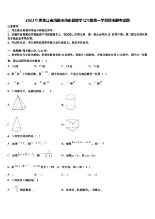 2023年黑龙江省鸡西市鸡东县数学七年级第一学期期末联考试题含解析.doc