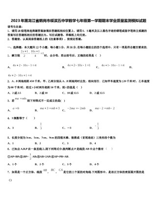2023年黑龙江省鹤岗市绥滨五中学数学七年级第一学期期末学业质量监测模拟试题含解析.doc