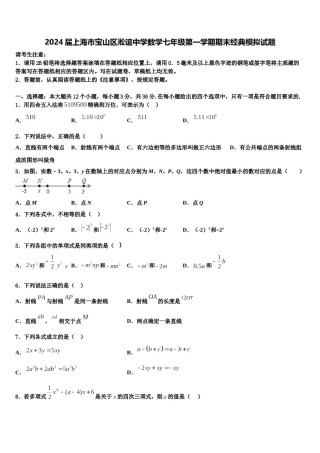 2024届上海市宝山区淞谊中学数学七年级第一学期期末经典模拟试题含解析.doc