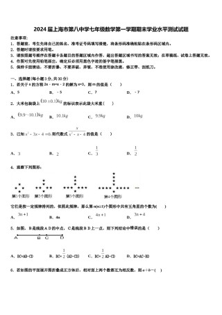 2024届上海市第八中学七年级数学第一学期期末学业水平测试试题含解析.doc