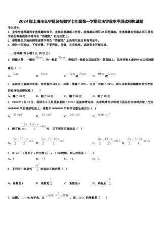2024届上海市长宁区名校数学七年级第一学期期末学业水平测试模拟试题含解析.doc