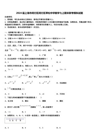 2024届上海市闵行区闵行区莘松中学数学七上期末联考模拟试题含解析.doc