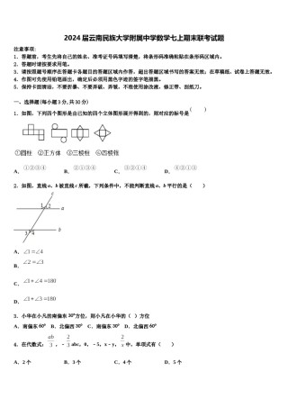 2024届云南民族大学附属中学数学七上期末联考试题含解析.doc