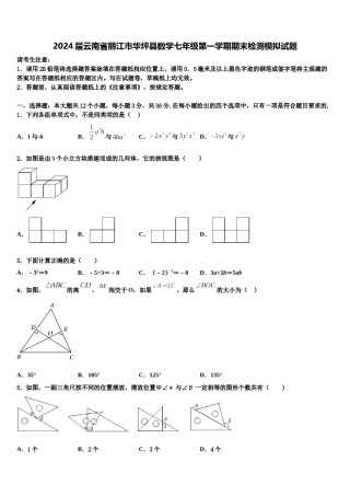 2024届云南省丽江市华坪县数学七年级第一学期期末检测模拟试题含解析.doc