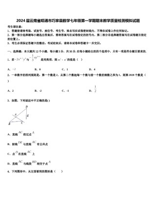 2024届云南省昭通市巧家县数学七年级第一学期期末教学质量检测模拟试题含解析.doc
