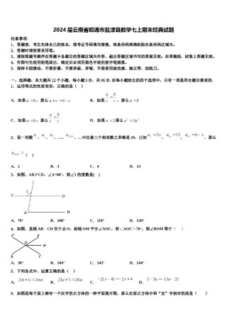 2024届云南省昭通市盐津县数学七上期末经典试题含解析.doc