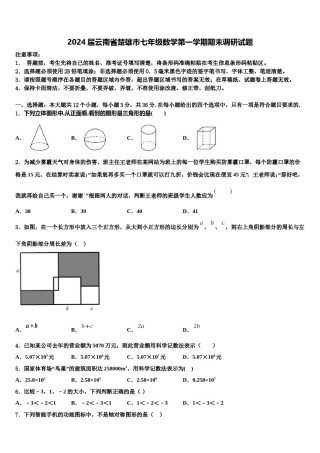 2024届云南省楚雄市七年级数学第一学期期末调研试题含解析.doc