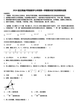 2024届云南省泸西县数学七年级第一学期期末复习检测模拟试题含解析.doc