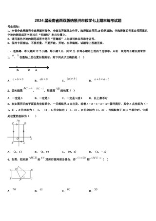 2024届云南省西双版纳景洪市数学七上期末统考试题含解析.doc