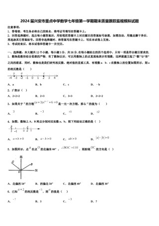2024届兴安市重点中学数学七年级第一学期期末质量跟踪监视模拟试题含解析.doc