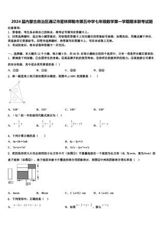 2024届内蒙古自治区通辽市霍林郭勒市第五中学七年级数学第一学期期末联考试题含解析.doc