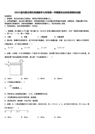 2024届内蒙古鄂托克旗数学七年级第一学期期末达标检测模拟试题含解析.doc
