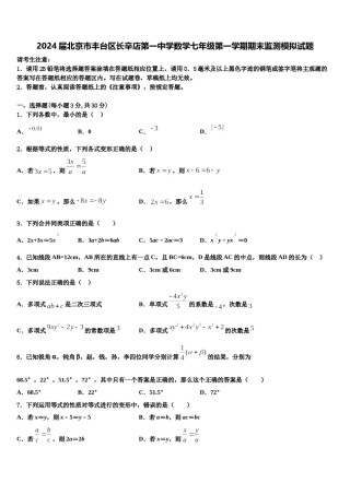 2024届北京市丰台区长辛店第一中学数学七年级第一学期期末监测模拟试题含解析.doc