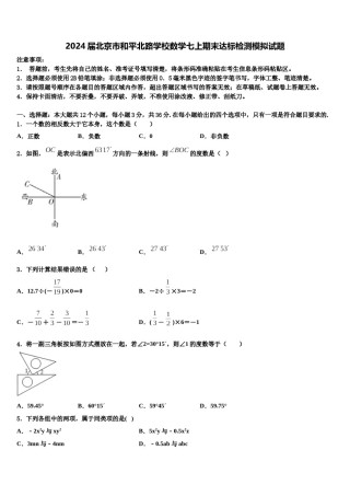 2024届北京市和平北路学校数学七上期末达标检测模拟试题含解析.doc