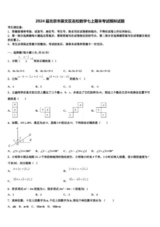 2024届北京市崇文区名校数学七上期末考试模拟试题含解析.doc