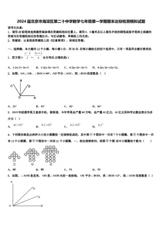 2024届北京市海淀区第二十中学数学七年级第一学期期末达标检测模拟试题含解析.doc