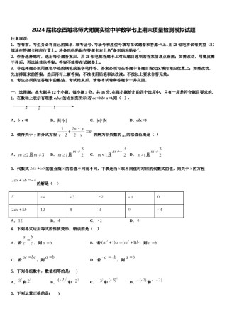 2024届北京西城北师大附属实验中学数学七上期末质量检测模拟试题含解析.doc