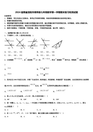 2024届南省洛阳市偃师县七年级数学第一学期期末复习检测试题含解析.doc