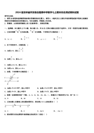 2024届吉林省农安县合隆镇中学数学七上期末综合测试模拟试题含解析.doc