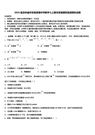 2024届吉林省农安县普通中学数学七上期末质量跟踪监视模拟试题含解析.doc