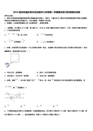 2024届吉林省松原市名校数学七年级第一学期期末复习检测模拟试题含解析.doc