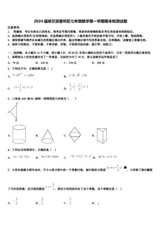 2024届哈尔滨香坊区七年级数学第一学期期末检测试题含解析.doc