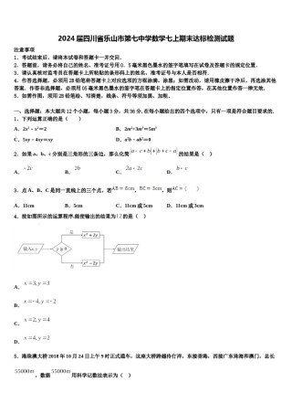 2024届四川省乐山市第七中学数学七上期末达标检测试题含解析.doc
