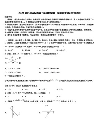 2024届四川省仪陇县七年级数学第一学期期末复习检测试题含解析.doc