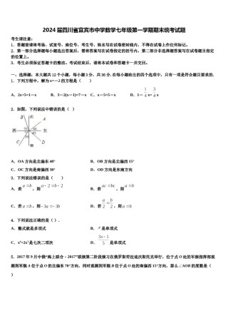 2024届四川省宜宾市中学数学七年级第一学期期末统考试题含解析.doc