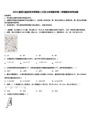 2024届四川省宜宾市翠屏区二片区七年级数学第一学期期末统考试题含解析.doc