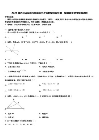 2024届四川省宜宾市翠屏区二片区数学七年级第一学期期末联考模拟试题含解析.doc