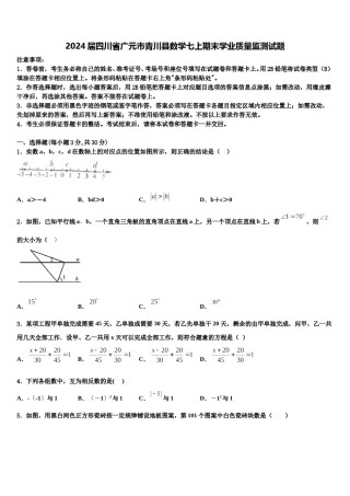 2024届四川省广元市青川县数学七上期末学业质量监测试题含解析.doc