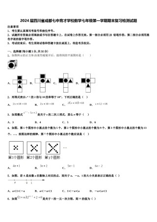 2024届四川省成都七中育才学校数学七年级第一学期期末复习检测试题含解析.doc