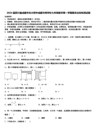2024届四川省成都市北大附中成都为明学校七年级数学第一学期期末达标检测试题含解析.doc