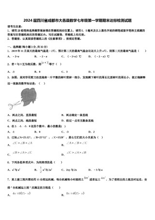 2024届四川省成都市大邑县数学七年级第一学期期末达标检测试题含解析.doc